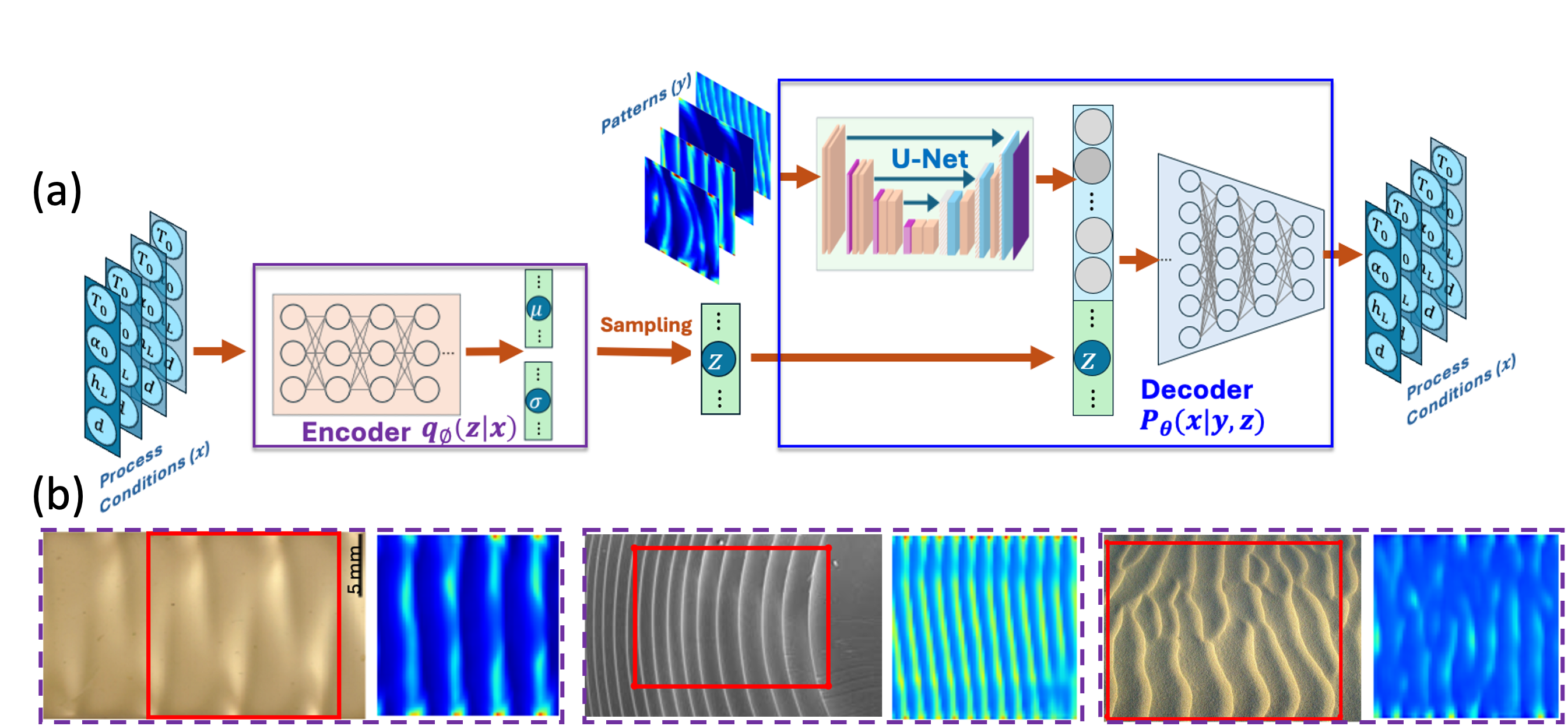 UcVAE for Morphogenic Pattern Design